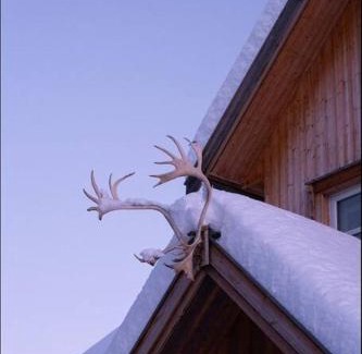 Laukeng House | Villa Nestun - Northern lights villa with sauna