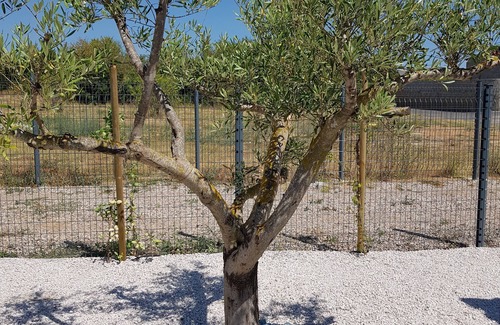 Pomerols House | Villa Neuve Proche de Marseillan Avec Piscine Chauffée