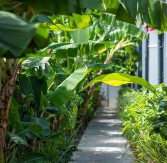 Dubedou Villa | Villa Nouah 4 etoiles Luxe avec Piscine privee