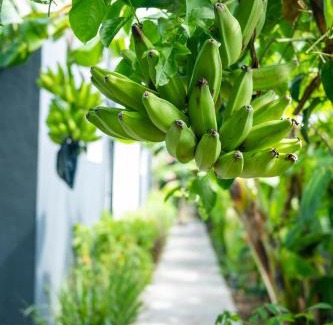 Dubedou Villa | VILLA Nouah by Abaneo, Saint-François