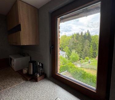 Mavrovo Villa | Villa Nur Lakeview Dreams