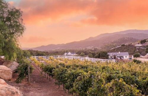 Murrieta Villa | Villa on 5 Acre Vineyard Equestrian Estate, Pool & Hot tub, Events