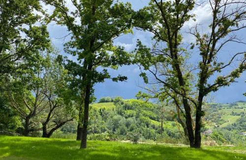 Calamandrana Villa | Villa panoramica sulle colline del Monferrato
