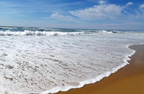 Le Penon House | Villa patio avec piscine, à 400m des commerces et 6km de plage - Animaux admis - FR-1-239-83