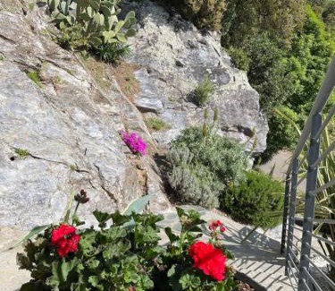 Valle-de-Campoloro House | Villa Petrera