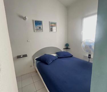 Saint-Cyprien Plage Villa | Villa, Piscine-pool 100m Plage-beach