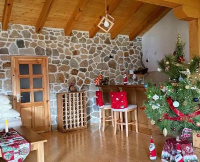 Berovo Villa | Villa Prevedena