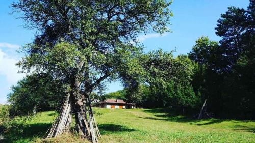 Berovo Villa | Villa Prevedena