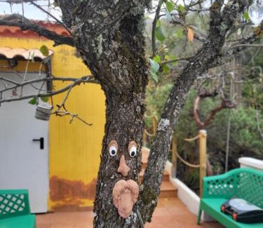 Vega de San Mateo Villa | Villa Rita