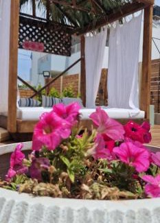 Vathianos Kampos Villa | Villa Roboboss