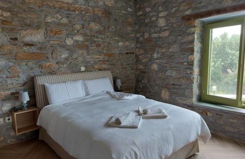 Nea Styra Villa | Villa Rokanes Glass Stone with Pool