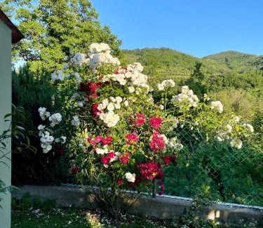 Fognano House | Villa Romeo - the suitable one!