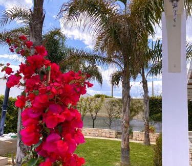 San Pietro in Bevagna House | Villa Romolo a 150 mt dal mare