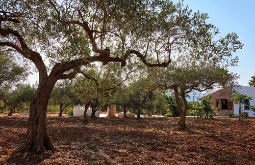 Castellammare del Golfo Villa | VILLA STERLIZIE - PRIVATE POOL OF 50 SQM - PARK, AIR CONDITIONING AND WIFI