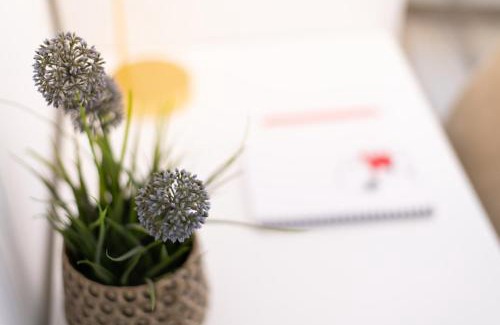 Calozzo Villa | VILLA SANT'ANNA by Curtiaffitti