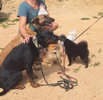 Bosana Villa | Villa Sortis -unique microclima estate for respiratory rehabilitation