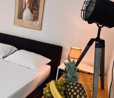 Skopje Region Apartment | Villa Srna Apartments