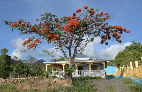 Malendure House | villa stenella
