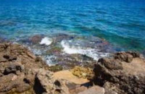 Addaura Villa | Villa sul mare