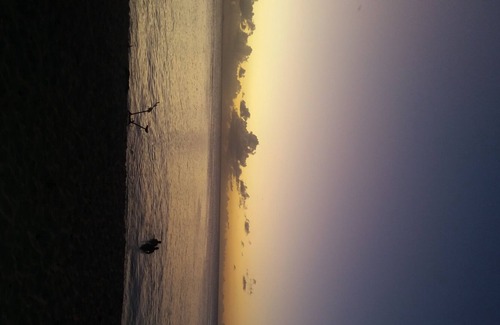 Port-Louis Resort | --- Villa sun -----