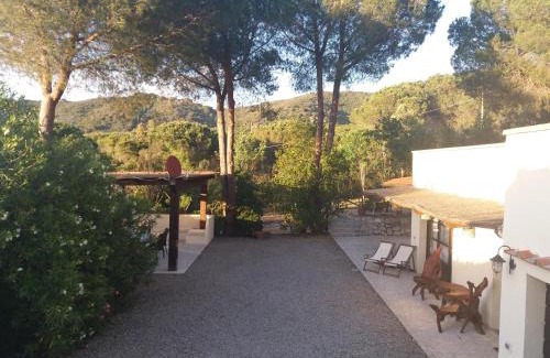 Procchio Villa | Villa Timothy