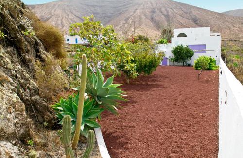 Haria Villa | Villa Tranquila