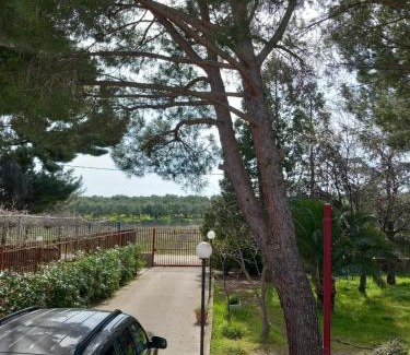 Bitonto Apartment | Villa Udi