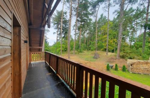 Hamr na Jezere House | Villa Viktoria