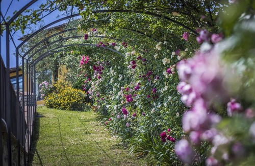 Casalguidi House | Villa 'Villa Solaria' with private pool