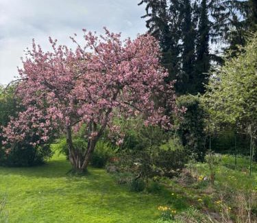 Laufen Apartment | Villa Vilma Antica