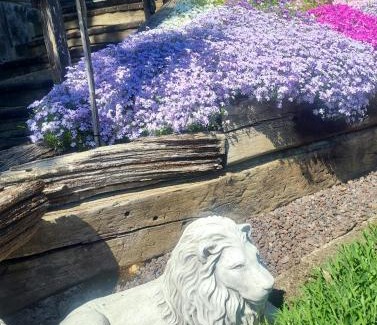 Eppstein Apartment | Villa Waldallee - Ferienwohnung (holidayhome) 84qm