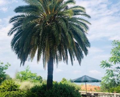 Silvi House | Villachiara