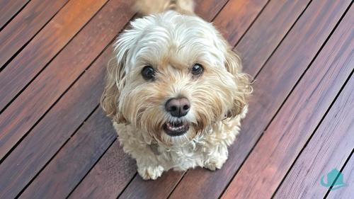 Marks Point House | Village Bay Lake house family Lake House with Spa