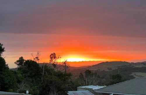 Port Elizabeth House | Village Bliss