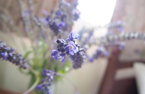 Ji'an House | Village Tree B&B