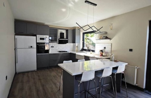 Osmangazi Villa | VillaInn 5+2 odalı doğanın içinde Villann