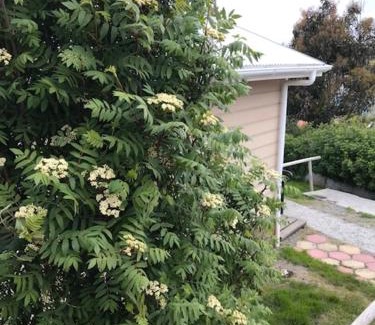 Punta Arenas Apartment | Villanita