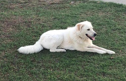 Quercianella Apartment | Villetta a schiera nei pressi del mare