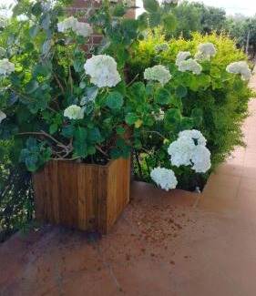 Ortona Apartment | Villetta Giardino degli Ulivi