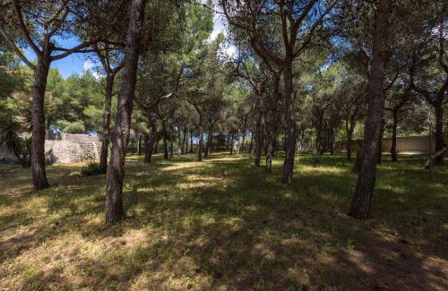 Porto Cesareo House | Villetta La Pineta by BarbarHouse