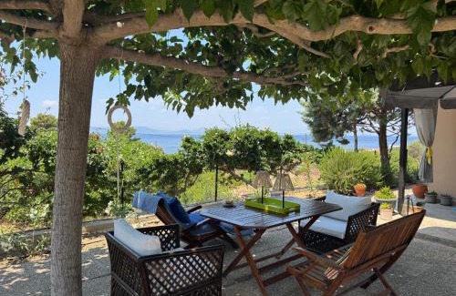 Vagia House | Villieta Marina