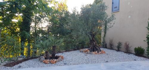 Sant'Angelo dei Lombardi Bed & Breakfast | Vinea del Selvatico cascina agricola