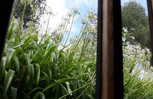 Helensville Hotel | Vineyard Cottages - Kumeu