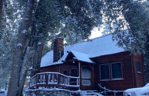 Forest Falls Cabin | Vintage Mountain Cabin