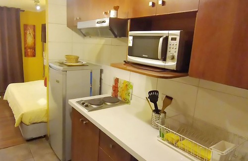 Downtown Santiago Apartment | VIP Apartments Chile