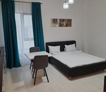 Timisoara Apartment | VISAJ Residence