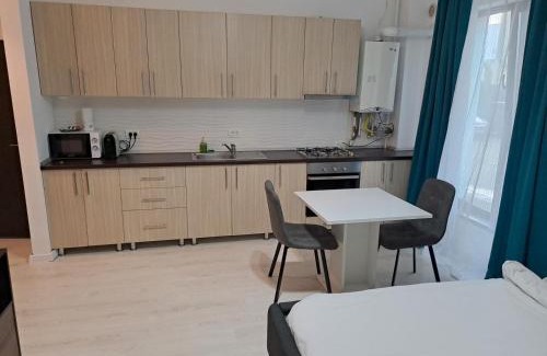 Timisoara Apartment | VISAJ Residence