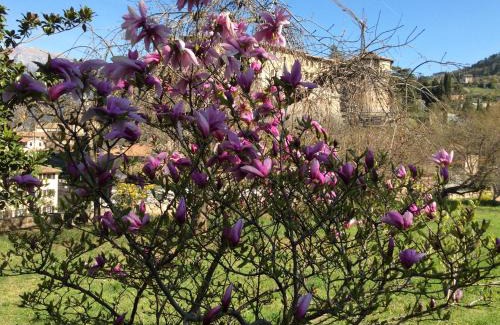 Rovereto Bed & Breakfast | Vista Castello