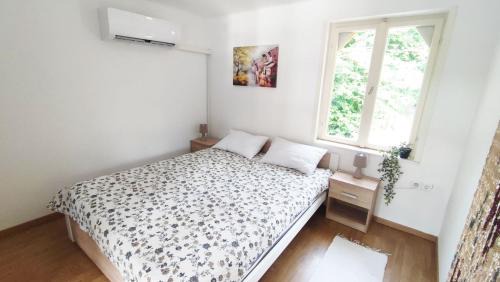 Bekesszentandras House | Viszontlát-Lak Békésszentandrás