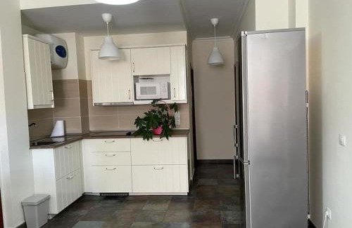 Ingenio Apartment | Viv.Vacacion. Lucía: Apartamento céntrico Ingenio.